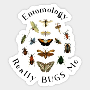 Entomology Really Bugs Me / Insects /Bugs Sticker